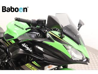 Kawasaki Ninja 650 KRT Edition picture 13