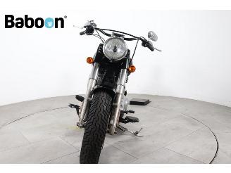 Harley-Davidson  FLS Softail Slim picture 7