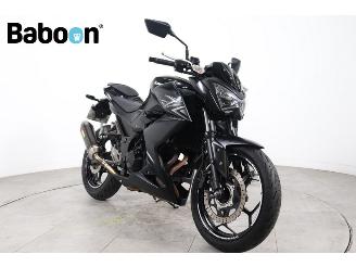 Kawasaki  Z 300 picture 2