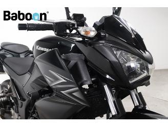 Kawasaki  Z 300 picture 16