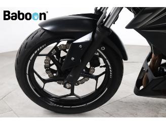 Kawasaki  Z 300 picture 14