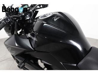 Kawasaki  Z 300 picture 10