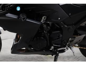 Kawasaki  Z 300 picture 13