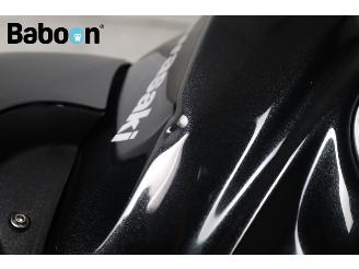 Kawasaki  Z 300 picture 18