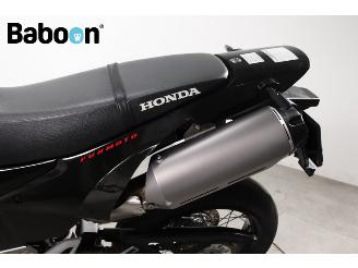 Honda FMX 650  picture 11