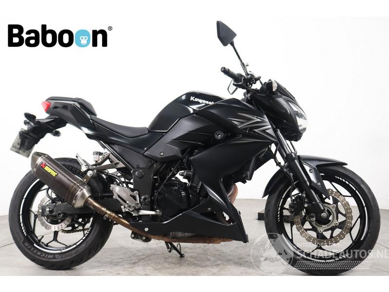 Kawasaki  Z 300
