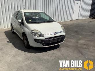 Fiat Punto Punto Evo (199), Hatchback, 2008 / 2012 1.3 JTD Multijet 85 16V Euro 5 picture 2