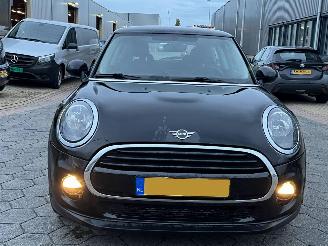 Mini One 1.5 One Salt picture 2