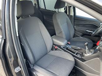 Ford Grand C-Max 1.5 benzine 5-persoons 150pk picture 8