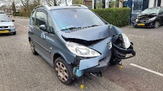 Peugeot 1007 1.6-16v gENTRY picture 1