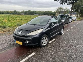 Peugeot 207 1.4 picture 2
