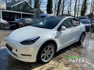 Sloopauto Tesla Model Y Model Y (5YJY), SUV, 2019 Long Range,Performance 2023/11