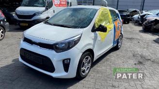 Kia Picanto Picanto (JA), Hatchback, 2017 1.0 DPi 12V picture 1