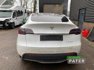 Tesla Model Y Model Y (5YJY), SUV, 2019 Long Range,Performance AWD picture 5