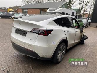 Tesla Model Y Model Y (5YJY), SUV, 2019 Long Range,Performance AWD picture 4