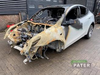 Vrakbiler auto Tesla Model Y Model Y (5YJY), SUV, 2019 Long Range,Performance AWD 2022/11