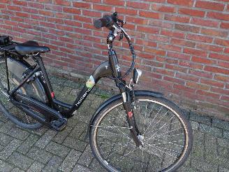 Overige  Hollandia Mimo picture 8