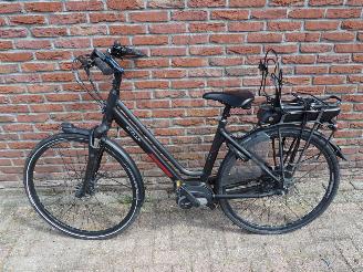 krockskadad bil fiets Stella  Vincenza 2024/6