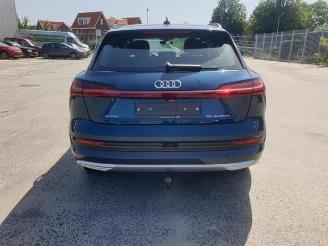 Audi E-tron e-tron (GEN), SUV, 2018 / 2023 55 quattro picture 6