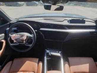 Audi E-tron e-tron (GEN), SUV, 2018 / 2023 55 quattro picture 9