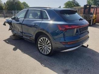 Audi E-tron e-tron (GEN), SUV, 2018 / 2023 55 quattro picture 7
