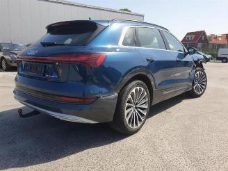 Audi E-tron e-tron (GEN), SUV, 2018 / 2023 55 quattro picture 5