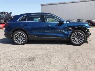 Audi E-tron e-tron (GEN), SUV, 2018 / 2023 55 quattro picture 4