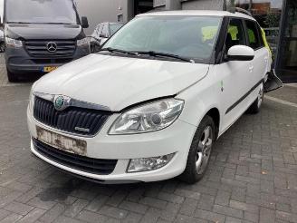 Skoda Fabia Fabia II Combi, Combi 5-drs, 2007 / 2015 1.2 TDI 12V Greenline picture 1
