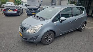 Sloopauto Opel Meriva 1.4 Berlin 2013/6