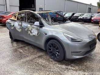 Tesla Model Y Model Y (5YJY), SUV, 2019 Long Range,Performance picture 3