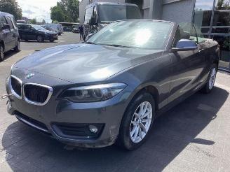 Vrakbiler auto BMW 2-serie 2 serie (F23), Cabrio, 2014 / 2021 218i 1.5 TwinPower Turbo 12V 2019/1
