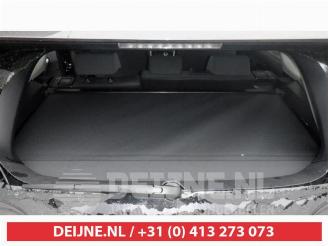 Toyota Rav-4 RAV4 (A5), Terreinwagen, 2018 2.5 Hybrid 16V AWD picture 12