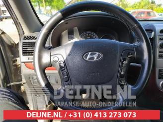 Hyundai Santa Fe Santa Fe II (CM), SUV, 2006 / 2012 2.2 CRDi 16V 4x2 picture 14