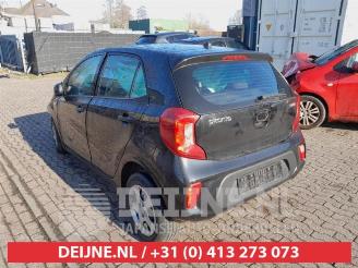 Kia Picanto Picanto (JA), Hatchback, 2017 1.0 12V picture 5
