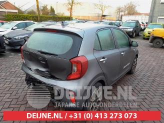 Kia Picanto Picanto (JA), Hatchback, 2017 1.0 12V picture 7