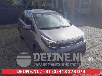 krockskadad bil bedrijf Kia Picanto Picanto (JA), Hatchback, 2017 1.0 DPi 12V 2021/3