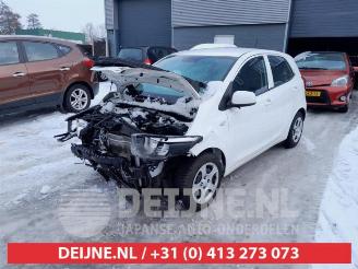 Kia Picanto Picanto (JA), Hatchback, 2017 1.0 DPi 12V picture 3