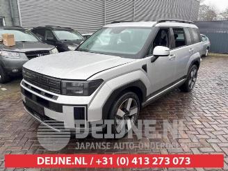 Hyundai Santa Fe Santa Fe V, SUV, 2024 1.6 T-GDI PHEV 4WD picture 3