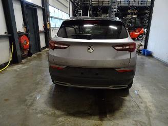 Opel Grandland 1.2 TURBO picture 2