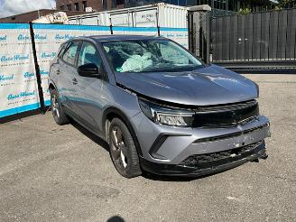 Opel Grandland 1.2 Turbo GS picture 2