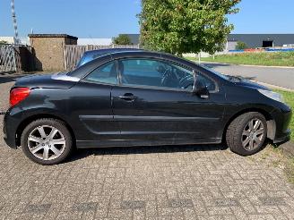 Peugeot 207  picture 5