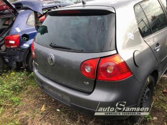 Volkswagen Golf Golf V (1K1), Hatchback, 2003 / 2010 1.6 picture 5