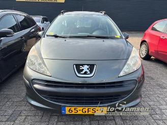 Peugeot 207 207 SW (WE/WU), Combi, 2007 / 2013 1.4 picture 2