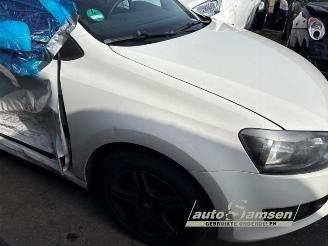 Volkswagen Polo Polo V (6R), Hatchback, 2009 / 2017 1.2 12V BlueMotion Technology picture 14