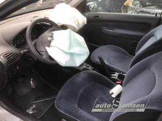Peugeot 206 206 (2A/C/H/J/S), Hatchback, 1998 / 2012 1.4 XR,XS,XT,Gentry picture 4