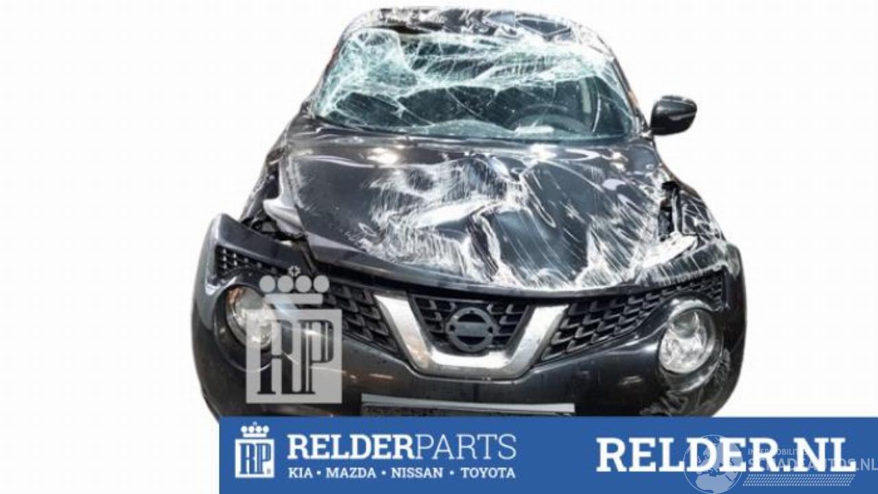 Nissan Juke Juke (F15), SUV, 2010 / 2019 1.2 DIG-T 16V
