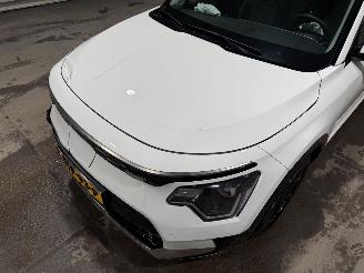 Kia e-Niro 64.8kWh 150kW DynamicLine picture 21