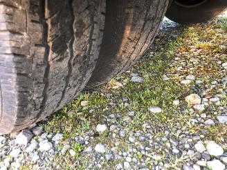 Iveco Daily Iveco 70C17 picture 11