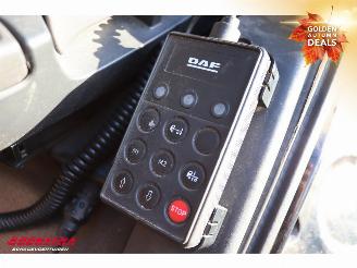 DAF CF 260 SC 4X2 FA ACC Retarder Euro 6 picture 22