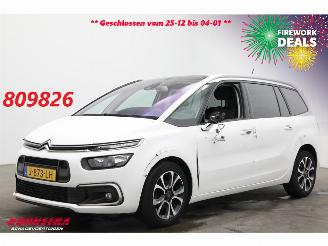 Auto incidentate Citroën Grand C4 SpaceTourer 1.2 PureTech Bns 7-Pers. Navi Clima Cruise Camera PDC AHK 46.725 km! 2020/9